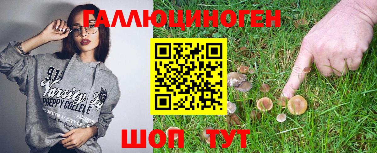 Галлюциногенные грибы Cubensis Екатеринбург