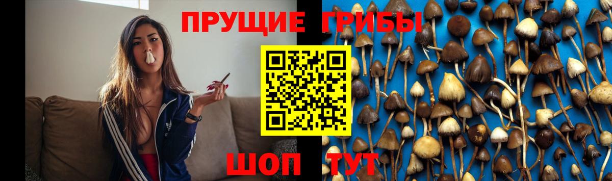 Галлюциногенные грибы мицелий  Вход с VPN  Екатеринбург 
