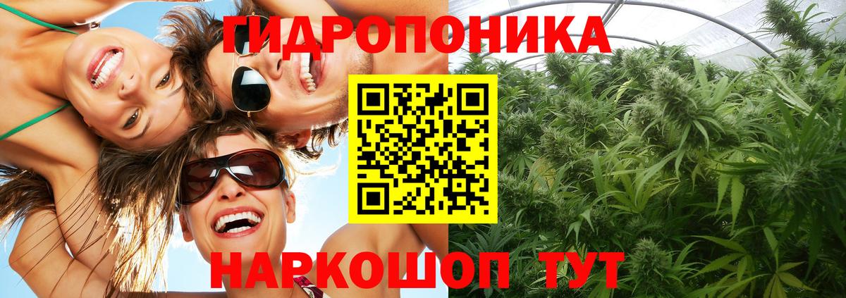 Шишки марихуана гибрид  Вход с VPN  Екатеринбург  МАРИХУАНА Amnesia  Марихуана марихуана 